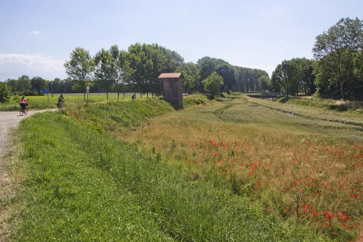 corno vecchio e corno giovane