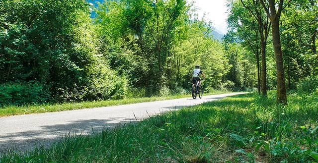 tirano teglio in bicicletta