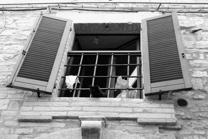 Spello particolari