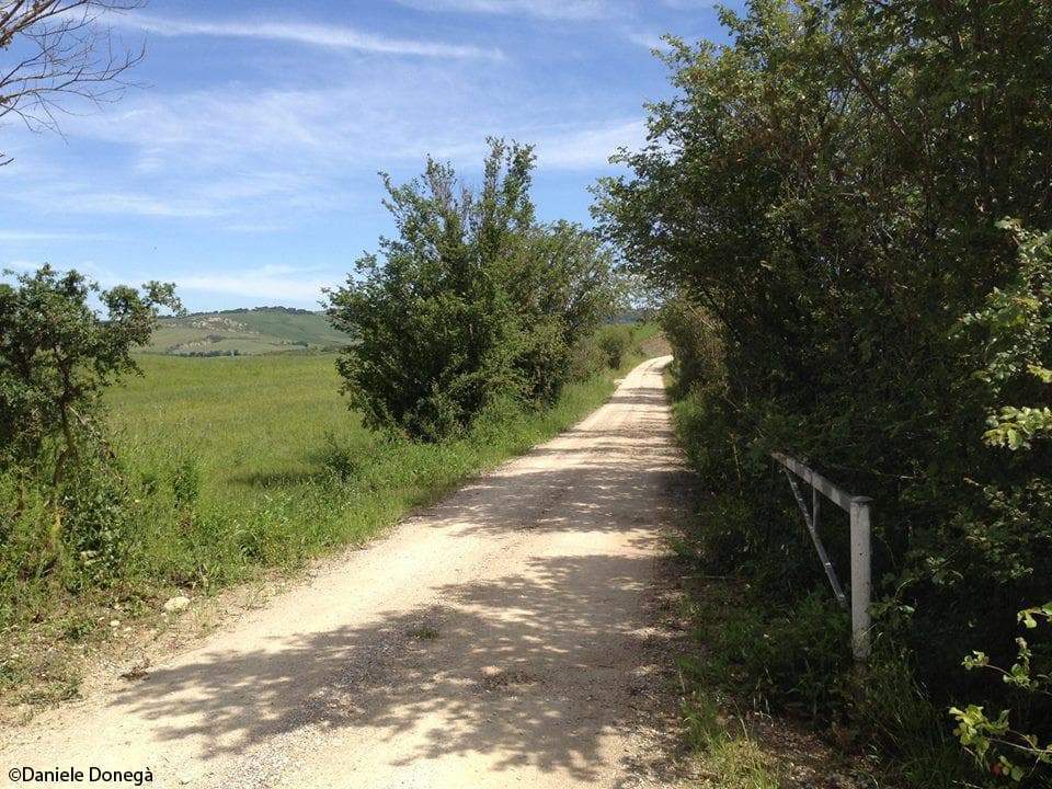 Campagne toscane