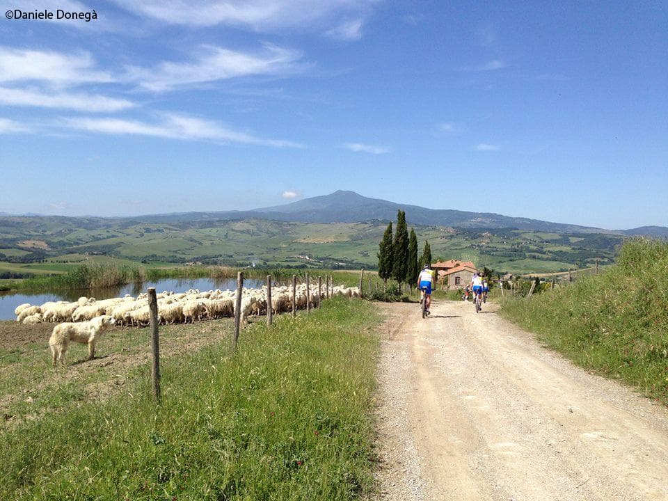 Val d'orcia