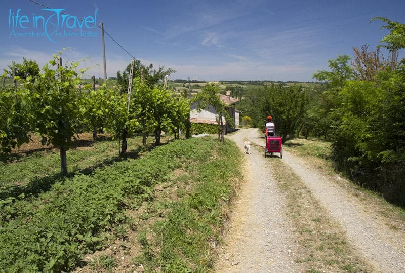 sterrato vigneti della val tidone