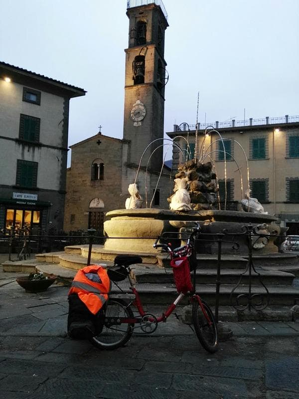 in viaggio goat