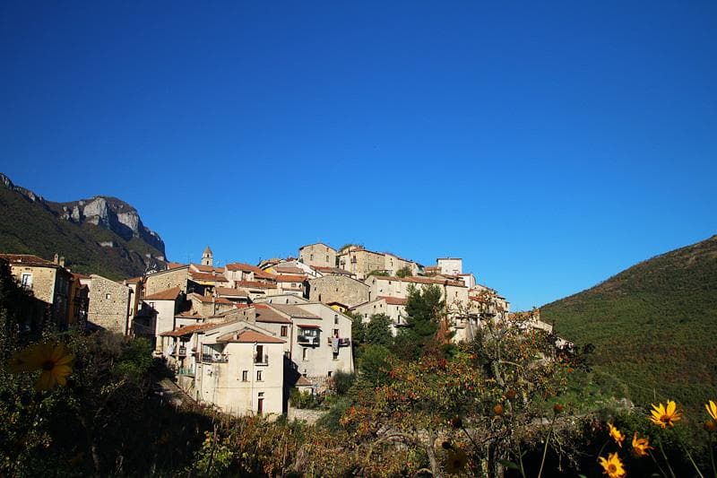 petina