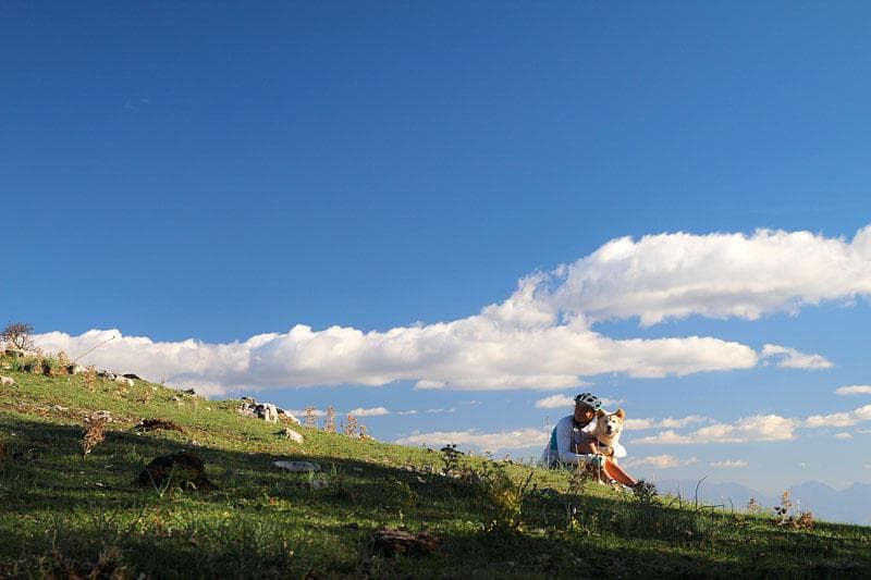 tra la lavanda selvatica sul cervati