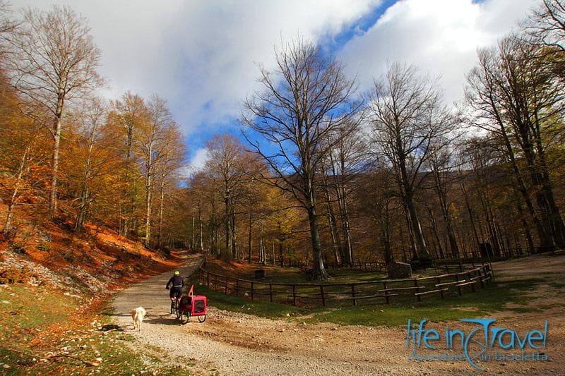 area sosta cilento