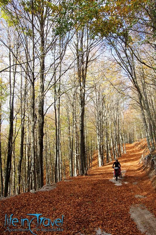monte cervati su strada