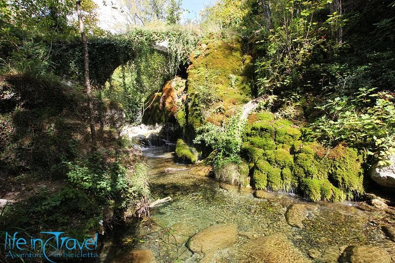 cascata capelli di venere