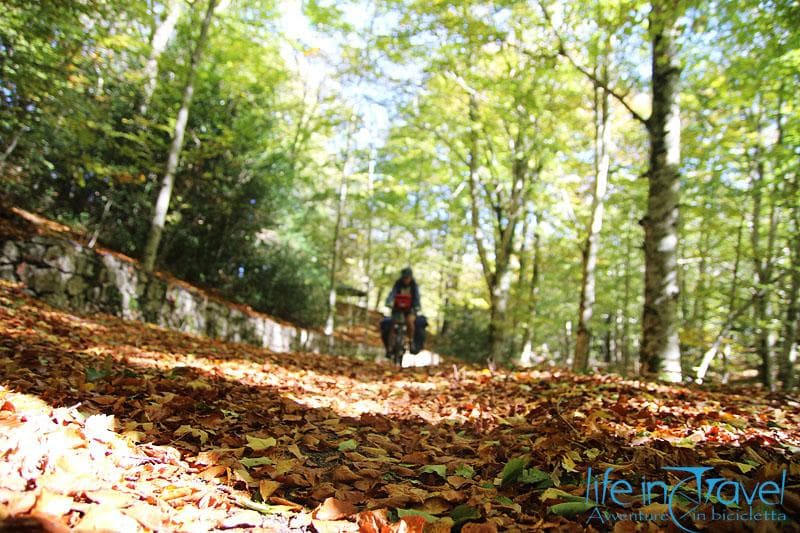 via silente in bici 6