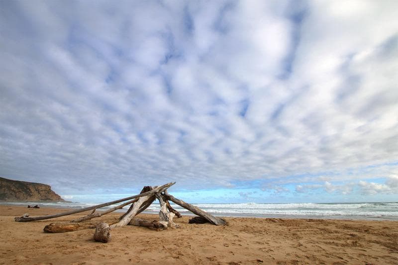garden route