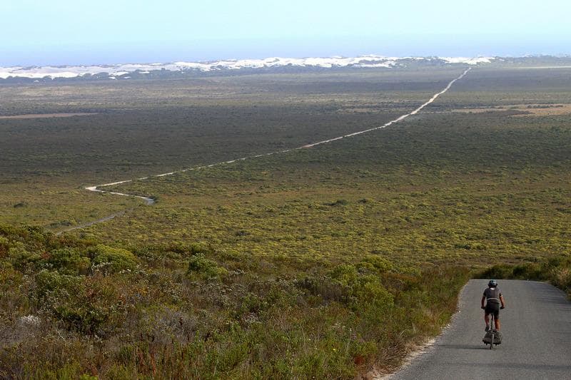 whale route
