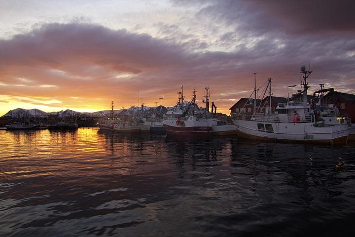 isole lofoten6