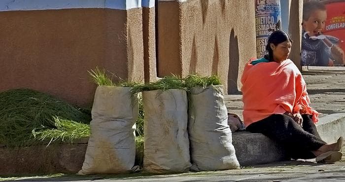 campesina