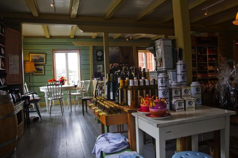 caffetteria norvegia