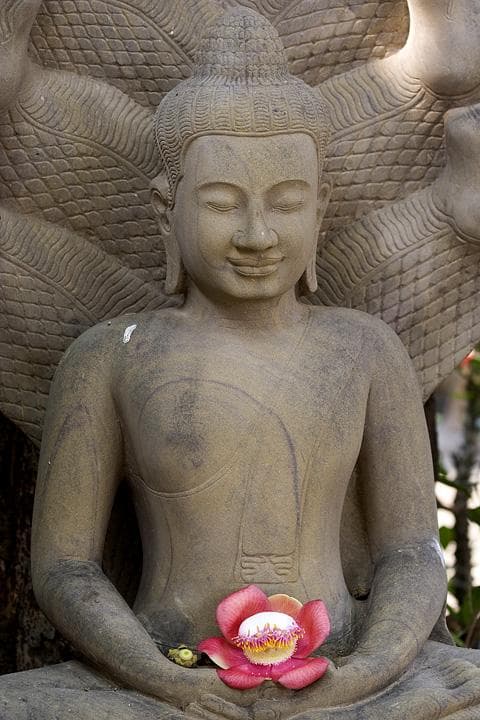 buddha pagoda d argento phnom penh cambogia