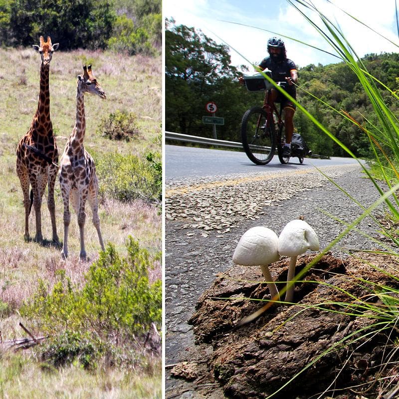 n2 in sudafrica in bici
