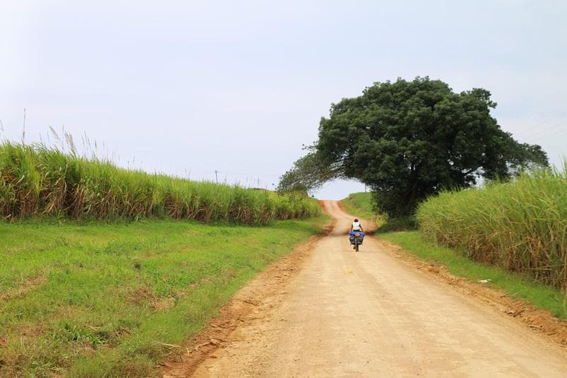 wellvale mtuzini