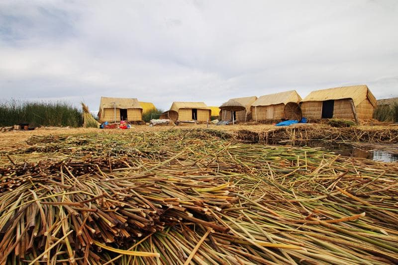 isole uros