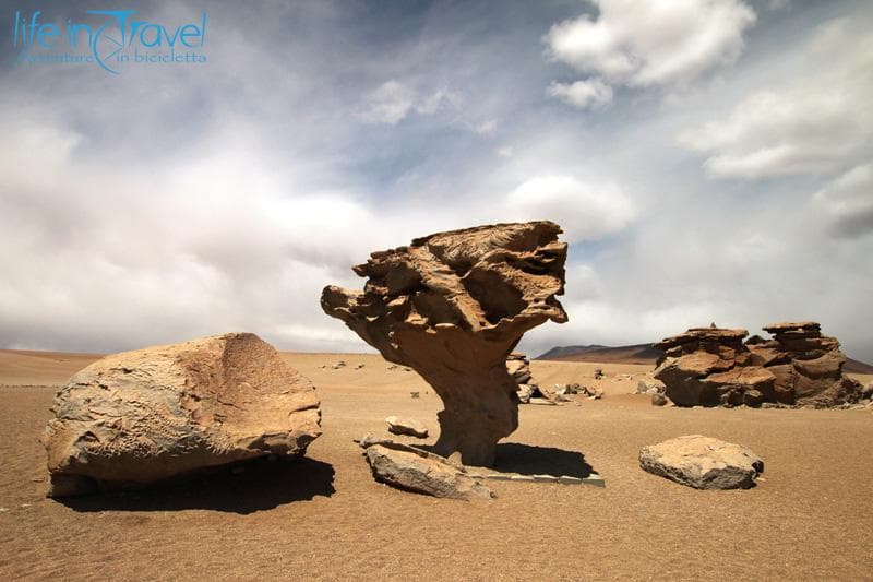 arbor de piedra bolivia