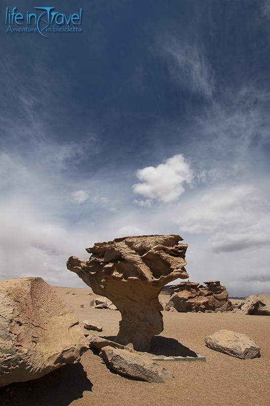 arbol de piedra
