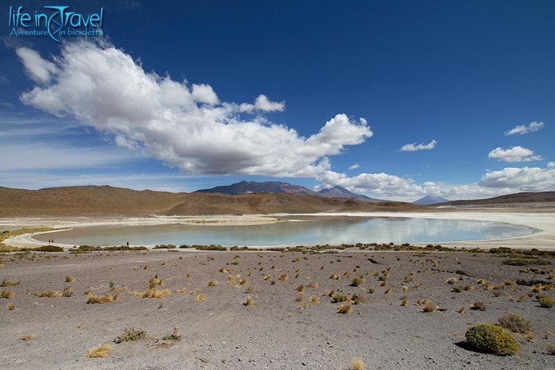 laguna boliviana d alta quota