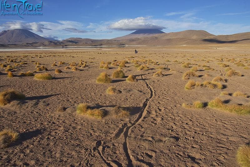 nella sabbia bolivia