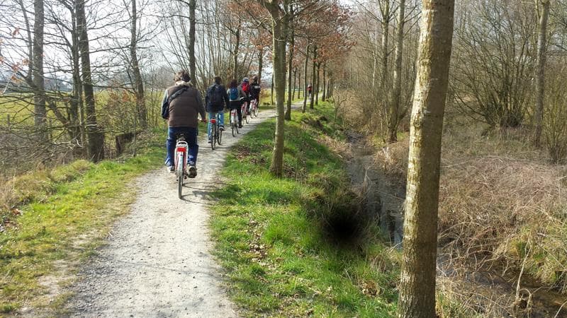 bici fiandre