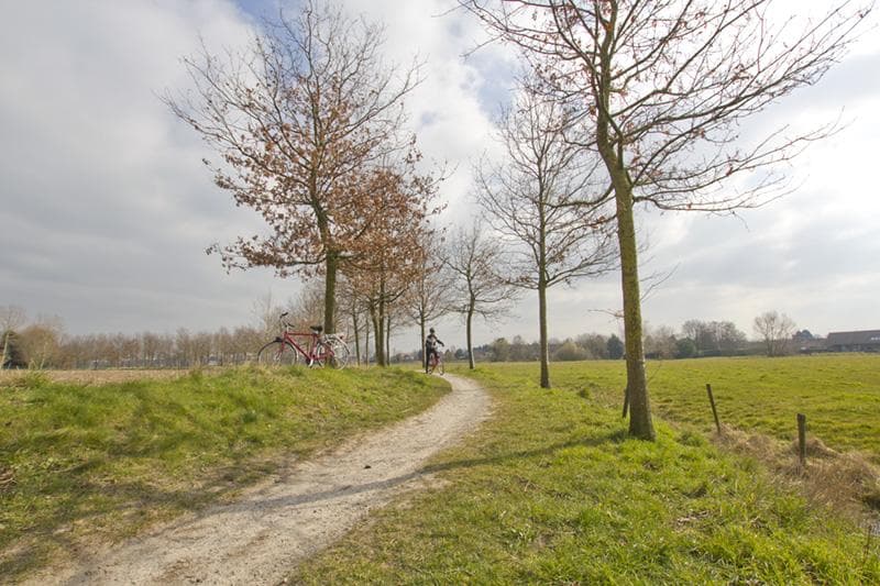 fiandre in bici