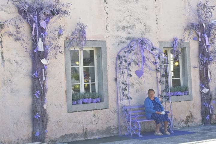 Venzone e la lavanda