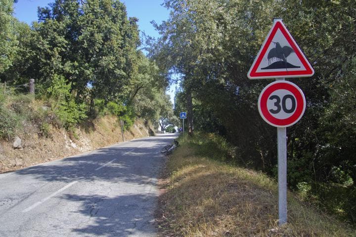 verso belvedere