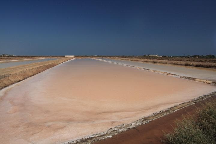 Saline portoghesi