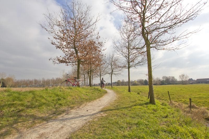 bicicletta fiandre