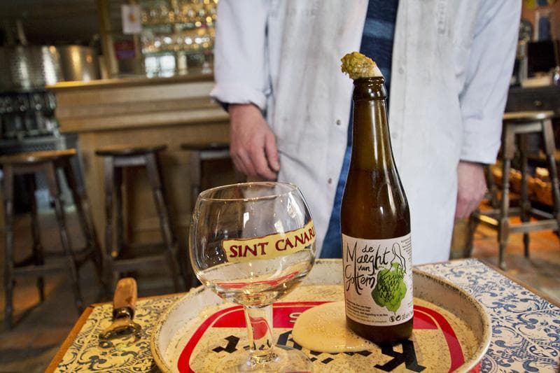 birra sint canarius