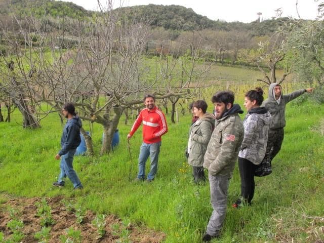campi coltivati