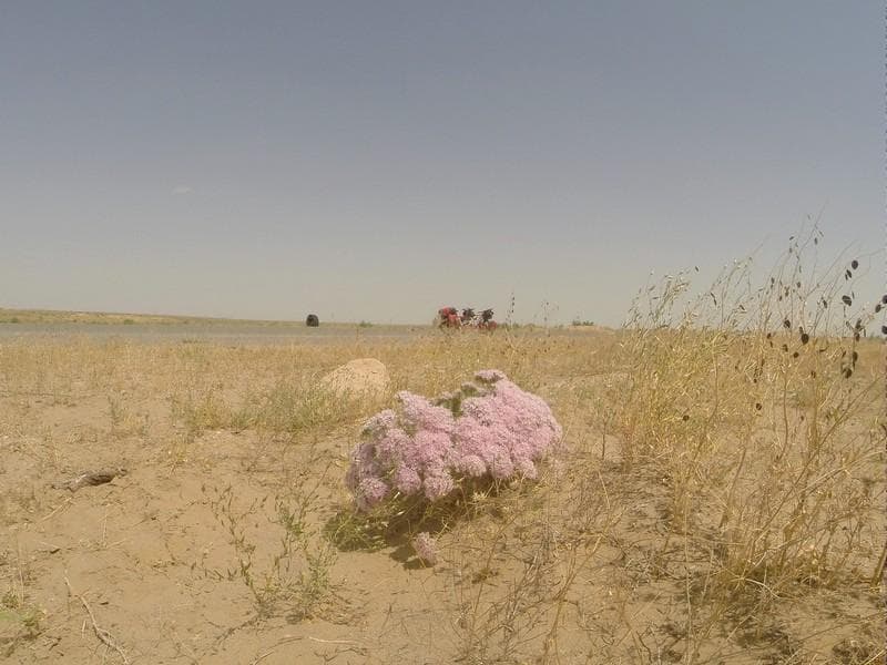 12 turkmenistan 00003