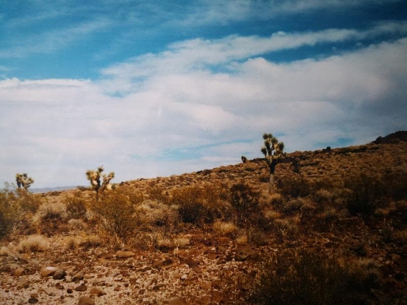 deserto americano
