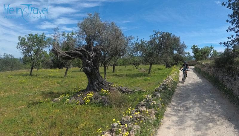 gravel ibiza