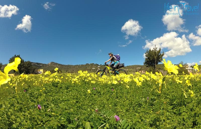 primavera a ibiza