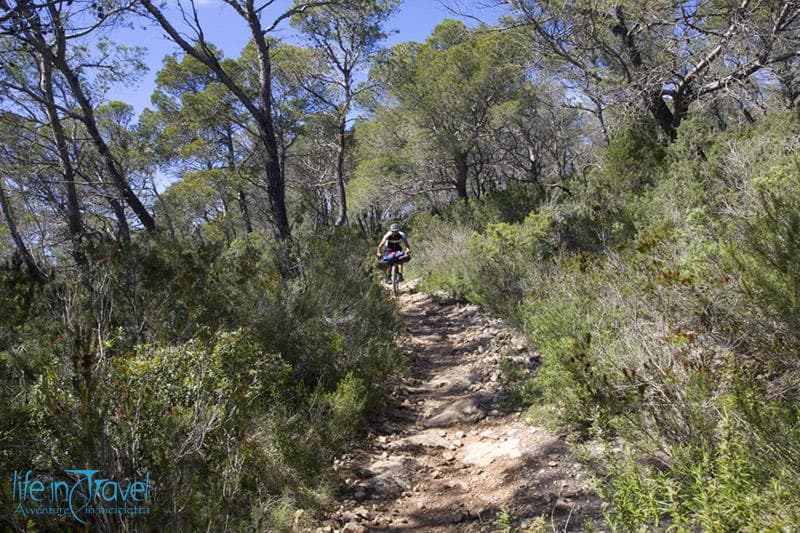 single trail bosco