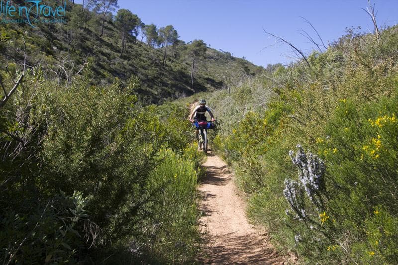 single trail ibiza