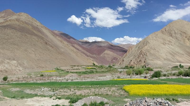 T6 f ladakh in bici