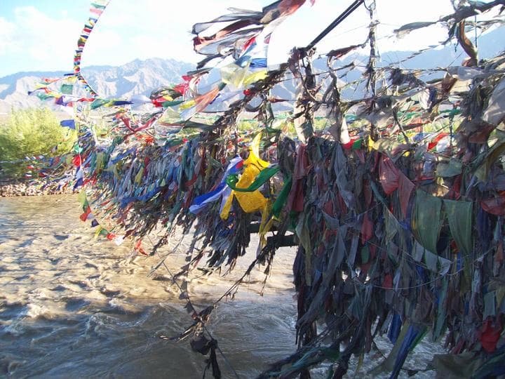 ladakh8