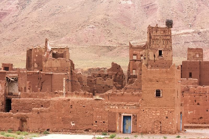 cicogna villaggio marocco
