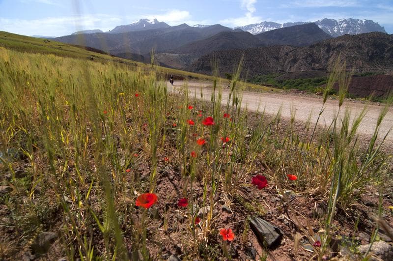valle ououli