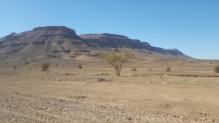 marocco fattoria nel deserto 1
