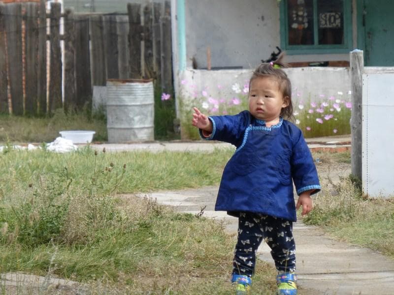 bimba mongolia