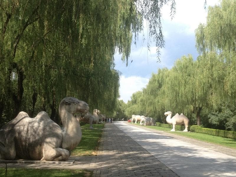 mongolia cina37