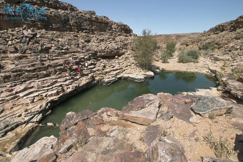 sebra pool namibia