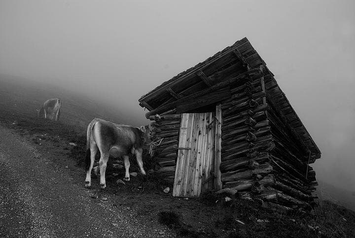 Malghe nella Otztal