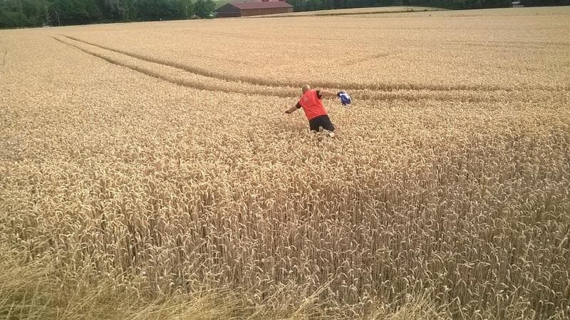 5 campi dorati in bici